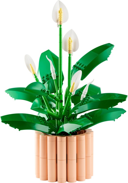 LEGO BOTANICALS 11504 Skrzydłokwiat MrPuggy.jpg