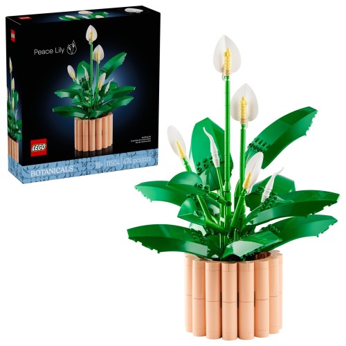 LEGO BOTANICALS 11504 Skrzydłokwiat.jpg
