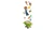 42680_WEB_SEC01_NOBG_en-gb.png.webp