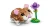 31376_WEB_SEC03_NOBG_en-gb.png.webp