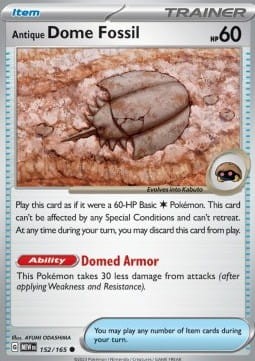 Antique Dome Fossil (MEW 152).jpg