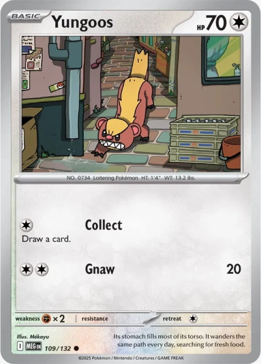 MEG 109.jpeg