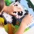 Klocki-Meli-Minis-Panda-250-el_[3005605]_1200.jpg