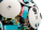 bltec1b6ad847503d45-43019_WEB_SEC02_NOBG.png