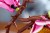 bltf1012114bd36e2ac-11510_Lifestyle_Build_05.jpg