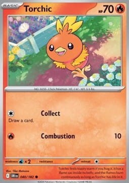Torchic (DRI 040).jpg