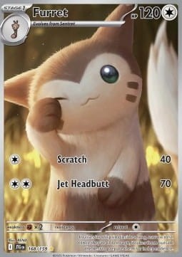 Furret (JTG 168).jpg