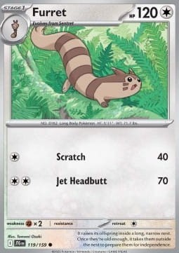 Furret (JTG 119).jpg