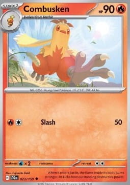 Combusken (JTG 023).jpg