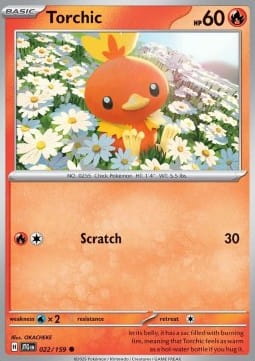 Torchic (JTG 022).jpg