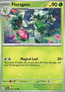 Floragato (JTG 017).jpg