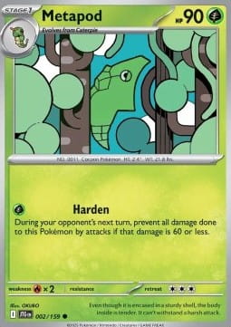 Metapod (JTG 002).jpg