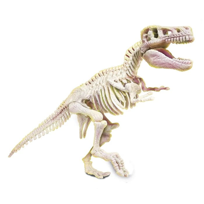 skamieniałosci trex fluo2 mr puggy.jpg