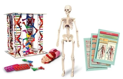 Clementoni Cialo ludzkie mini2 Mr Puggy.webp