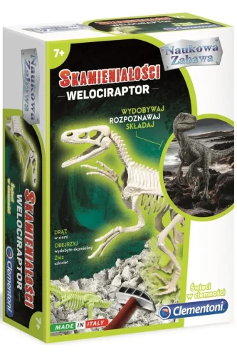 Skamieniałości - Welociraptor Mr Puggy.webp