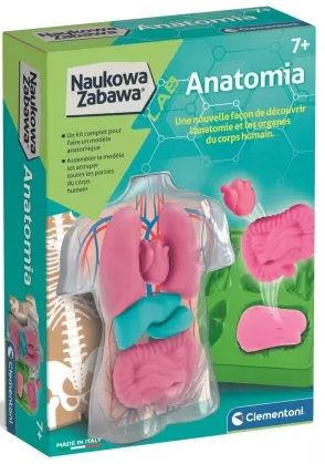 Anatomia mr puggy.jpg