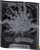 Pokémon TCG Mega Evolution - Pitch Black - Elite Trainer Box (13).jpg