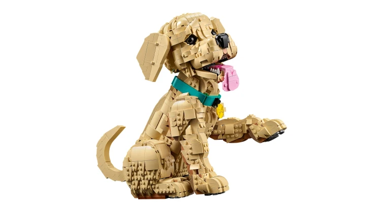 LEGO ICONS 11384 - Golden Retriver Puppy Kraków.jpg