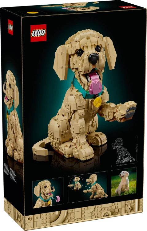LEGO ICONS 11384 - Golden Retriver Puppy MrPuggy.jpg