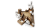 blt18a8af04322ee19c-72168_WEB_SEC05_NOBG.png