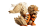 blta15d46ce58a30281-72160_WEB_SEC05_NOBG.png