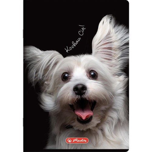 zeszyt a5 60 animals herlitz mr puggy