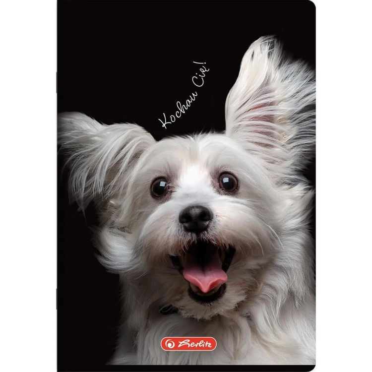 zeszyt a5 60 animals herlitz mr puggy