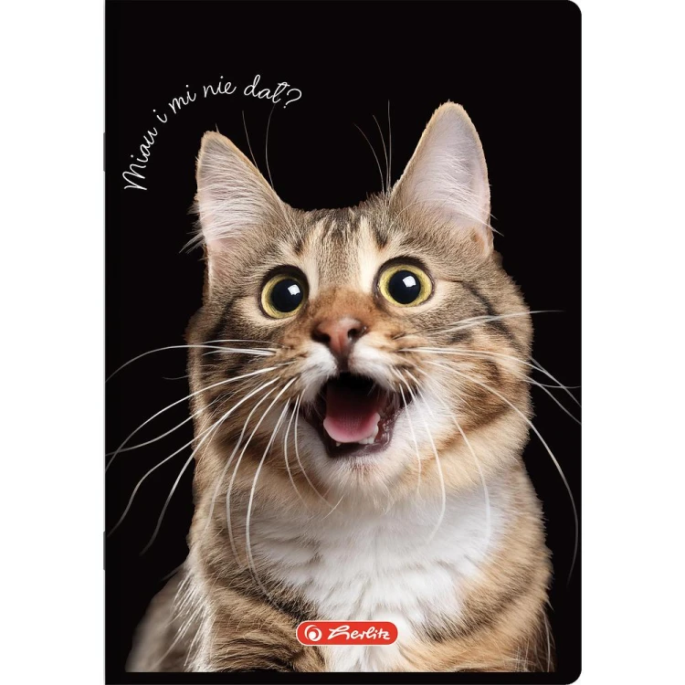 zeszyt a5 60 animals herlitz mr puggy