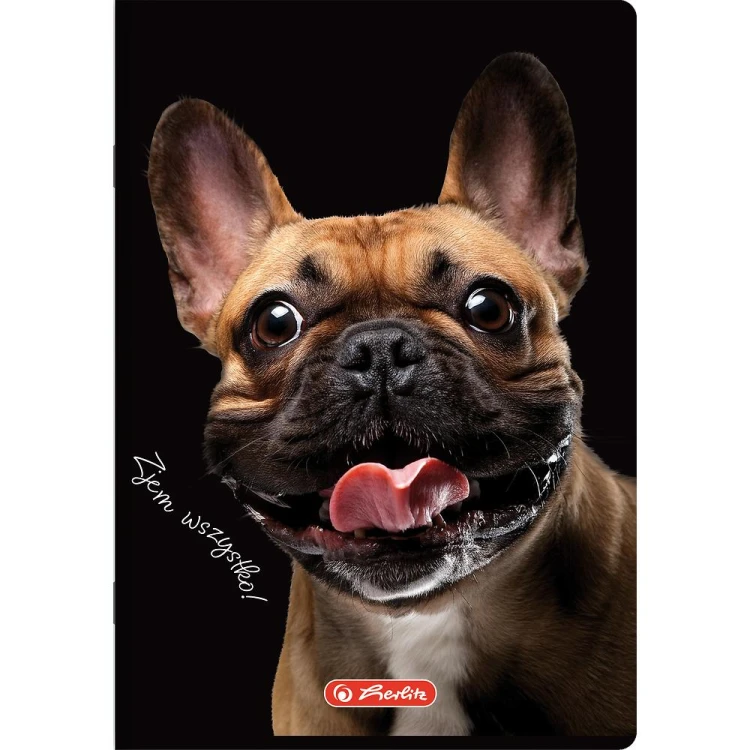 zeszyt a5 60 animals herlitz mr puggy