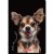 zeszyt a5 60 animals herlitz mr puggy