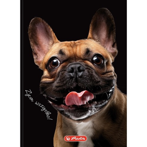 brulion a6 80 kratka herlitz mr puggy