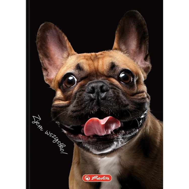 brulion a6 80 kratka herlitz mr puggy