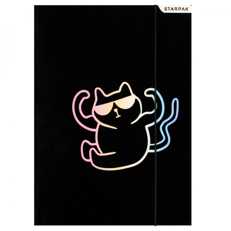 Teczka z gumką A4 Kitty Holo - Starpak