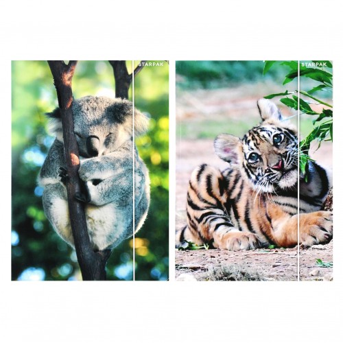 Teczka z gumką A4 Wild Animal - Starpak