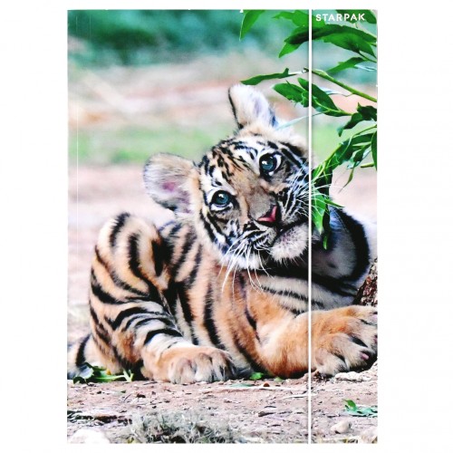 Teczka z gumką A4 Wild Animal - Starpak