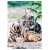 Teczka z gumką A4 Wild Animal - Starpak