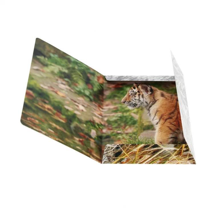 Teczka z gumką A4 Wild Animal - Starpak