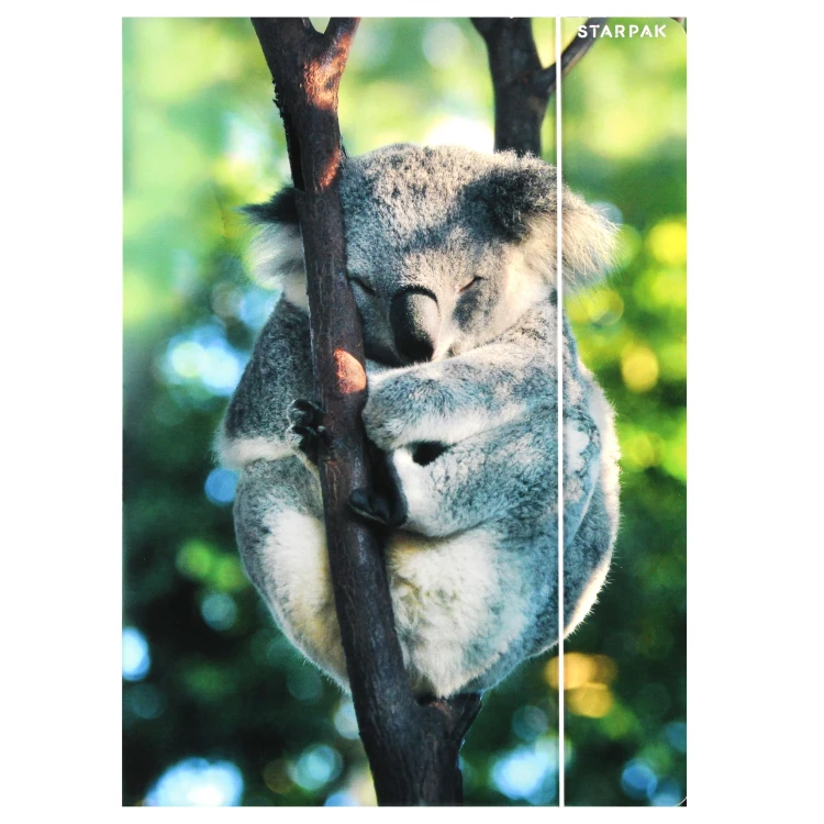 Teczka z gumką A4 Wild Animal - Starpak