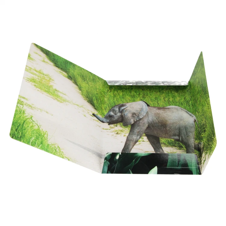 Teczka z gumką A4 Wild Animal - Starpak