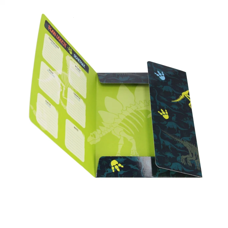Teczka z gumką A4 Dino Glow - Starpak