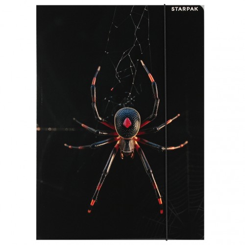 Teczka z gumką papierowa A4 Spider - Starpak