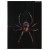 Teczka z gumką papierowa A4 Spider - Starpak