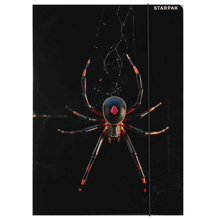 Teczka z gumką papierowa A4 Spider - Starpak