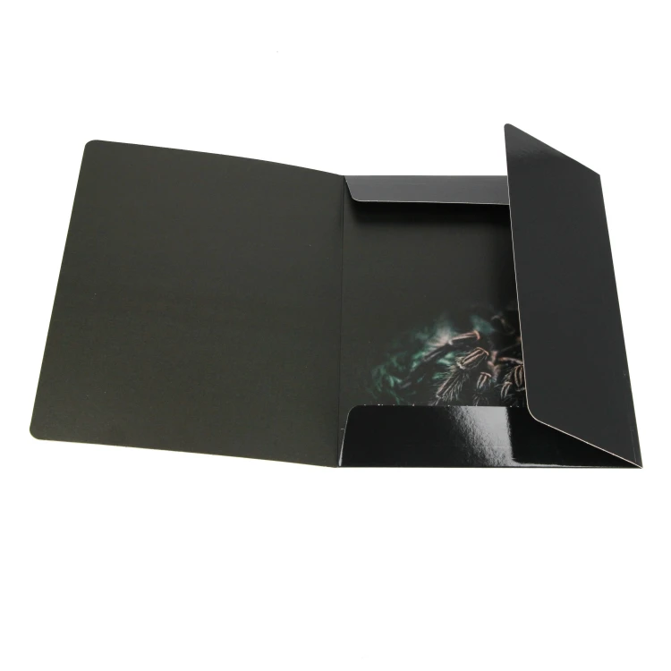 Teczka z gumką papierowa A4 Spider - Starpak