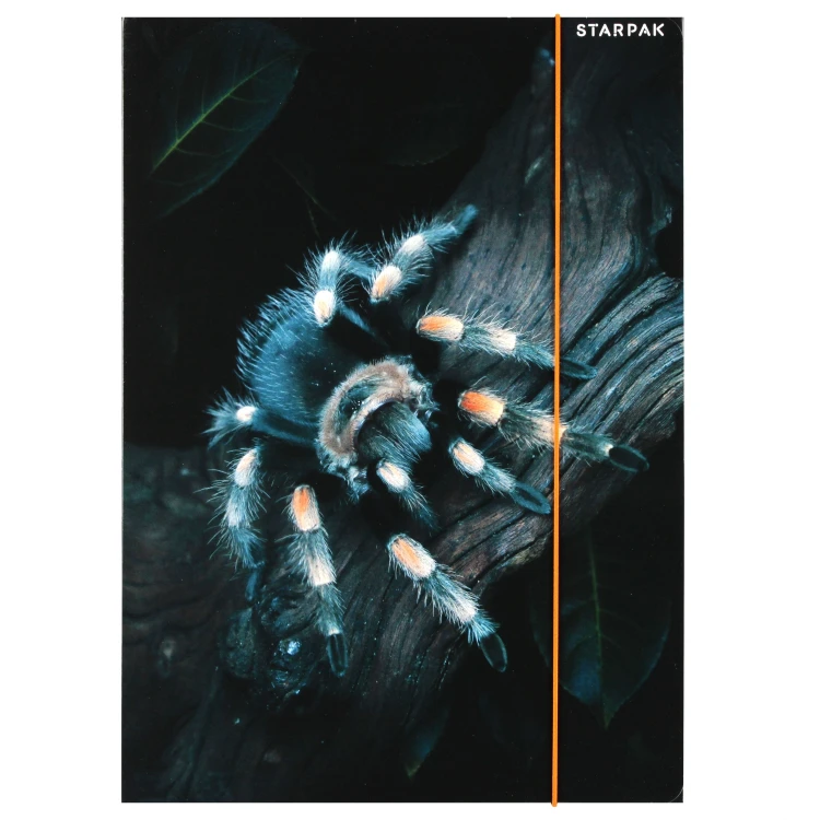 Teczka z gumką papierowa A4 Spider - Starpak