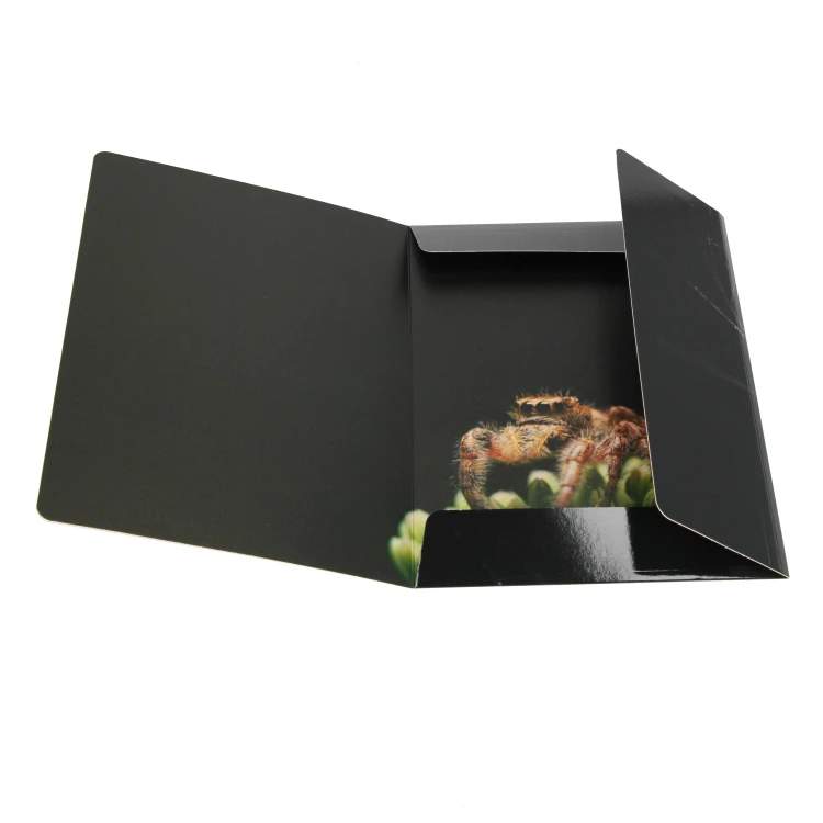 Teczka z gumką papierowa A4 Spider - Starpak