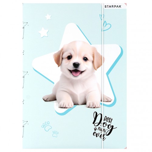 Teczka z gumką papierowa A4 Doggy - Starpak
