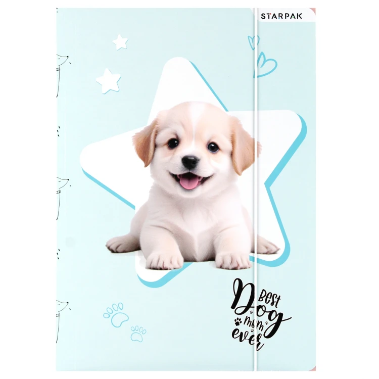Teczka z gumką papierowa A4 Doggy - Starpak