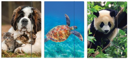 Teczka A4 z gumką Animals Herlitz