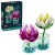 LEGO BOTANICALS 11511 Lilie Wodne.jpg